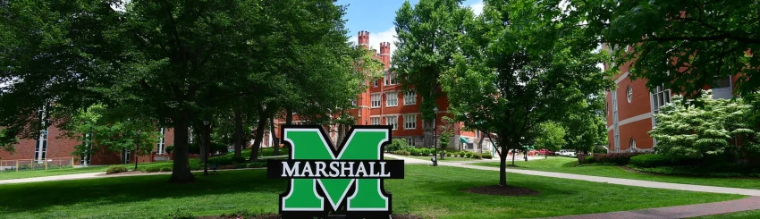 ZoomBackground_BlockM (2)